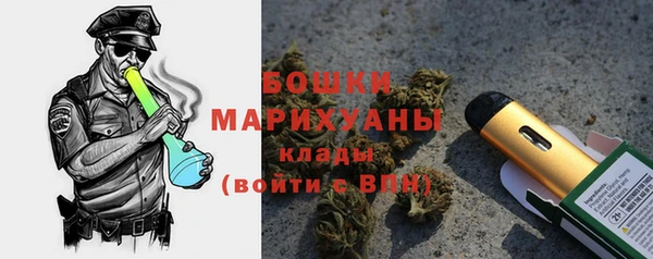 гидра Бронницы